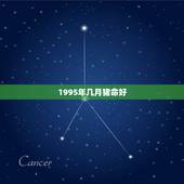1995年几月猪命好，95年属猪26岁婚姻状况