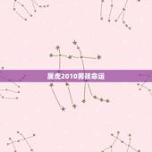 属虎2010男孩命运 2010年属虎一生学业如何