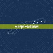 78年马的一生命运如何，78年属马是什么命
