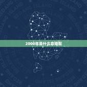 2000年是什么命婚配，2000年属龙女生婚配