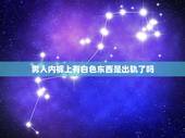 男人内裤上有白色东西是出轨了吗，男人内裤上有透明液体是出轨了吗？