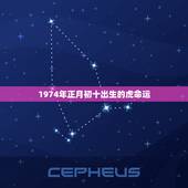 1974年正月初十出生的虎命运，1974年农历12月初十十出生的属虎是