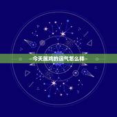 今天属鸡的运气怎么样，属鸡的今天麻将财运