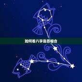 如何看八字是否相合，看看我们八字是否相合