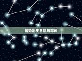 属兔出生日期与命运，哪年出生的属兔人更好命
