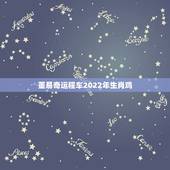 董易奇运程车2022年生肖鸡，生肖鸡2022年运势及运程