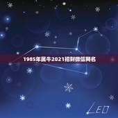 1985年属牛2021招财微信网名，属牛取什么微信名最好