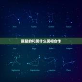 属鼠的和属什么属相合作，属鼠的与哪个属相合作好