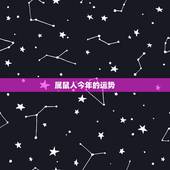 属鼠人今年的运势，属鼠今年运势