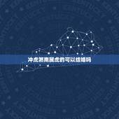 冲虎煞南属虎的可以结婚吗，猴日冲虎煞南该怎样破除