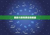 紫微斗数免费自助解盘，紫微斗数在线排盘免费算命