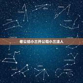老公给小三开公司小三法人，老公背着我跟小三开公司，我不想离婚该咋办？