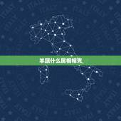 羊跟什么属相相克，蛇跟什么属相相克