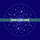 属猪的小人是什么属相，属猪的人生什么属相孩子好