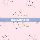 属鸡与属虎的八字合吗，93男鸡和98女虎生辰八字