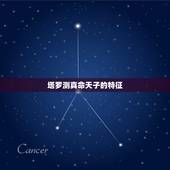 塔罗测真命天子的特征，塔罗牌测试真命天子，请帮我解读下