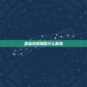 属鼠的婚姻配什么属相，属鼠的女人配什么属相的婚姻好