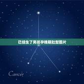 已经生了男孩孕晚期肚型图片，生男孩的肚型是什么样？如何通过肚型判断生男