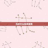 马冲什么生肖相克，男属马不能和什么属相在一起