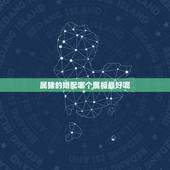 属猪的婚配哪个属相最好呢，男属猪着什么属相的人最婚配