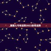 属猴人今年运势2022年年运势，2004年出生属猴，2022年运程