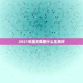 2021年属虎佩戴什么生肖好，属虎的人戴生肖和戴观音哪个更好？