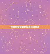 姓李虎宝宝取名字最佳字男孩 李姓虎宝宝满分名字