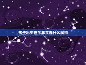 孩子出生在今年立春什么属相，立春后出生的孩子该属什么？