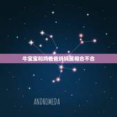 牛宝宝和鸡爸爸妈妈属相合不合，属牛与什么属相的子女相克