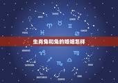 生肖兔和兔的婚姻怎样，生肖兔跟兔结婚合适吗