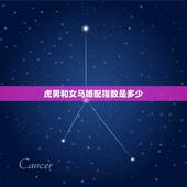 虎男和女马婚配指数是多少，男虎女马婚姻相配好吗