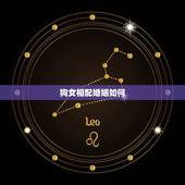 狗女相配婚姻如何，94年狗女和94狗男婚姻