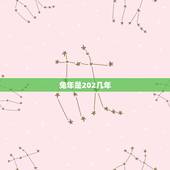 兔年是202几年，公元202年是什么生肖