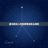 属马的女人对待感情是怎么样的，属马的人性格如何、对待感情是玩玩还是认真