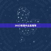 2022年是什么生肖年，2022年灾难最多的生肖