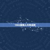 1982属狗人今年运势，82年属狗的是什么命今年82年的狗运气是不是很