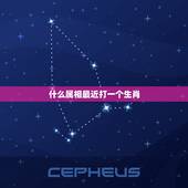 什么属相最近打一个生肖，总字，打一个生肖是什么？