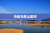 马和马怎么配对，女人配公猴子视频