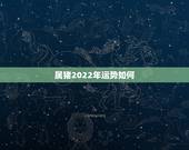 属猪2022年运势如何，1983年猪未来十年运势