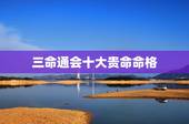 三命通会十大贵命命格，三命通会白话详解