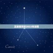正版麦玲玲2022年运程，麦玲玲2021年运程