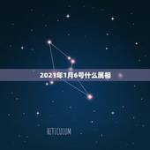 2021年1月6号什么属相，我想问，2021年1月7号属什么生肖？