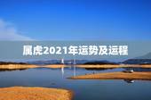 属虎2021年运势及运程，1962年属虎59男命2023年运势