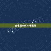 金牛座未来20年运势，金牛座2021年中什么运势是最好 详情解析