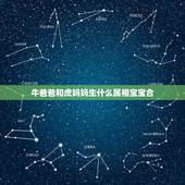 牛爸爸和虎妈妈生什么属相宝宝合，父母都是88年属龙孩子属虎不好吗？