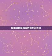 属相狗和属相狗的婚配可以吗，属鼠和属狗的相配吗？在一起能幸福吗？