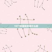1977年属蛇的是什么蛇，1977年属蛇人是什么命