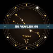 属相马和什么最配婚姻，属马人的婚姻与命运，属马人和什么属相最般配