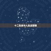 十二生肖与人生运势猴，生肖猴蛇年运程如何？
