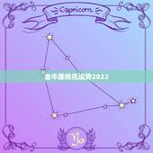 金牛座桃花运势2022，2022年桃花运旺盛的星座，让人很是嫉妒，都有